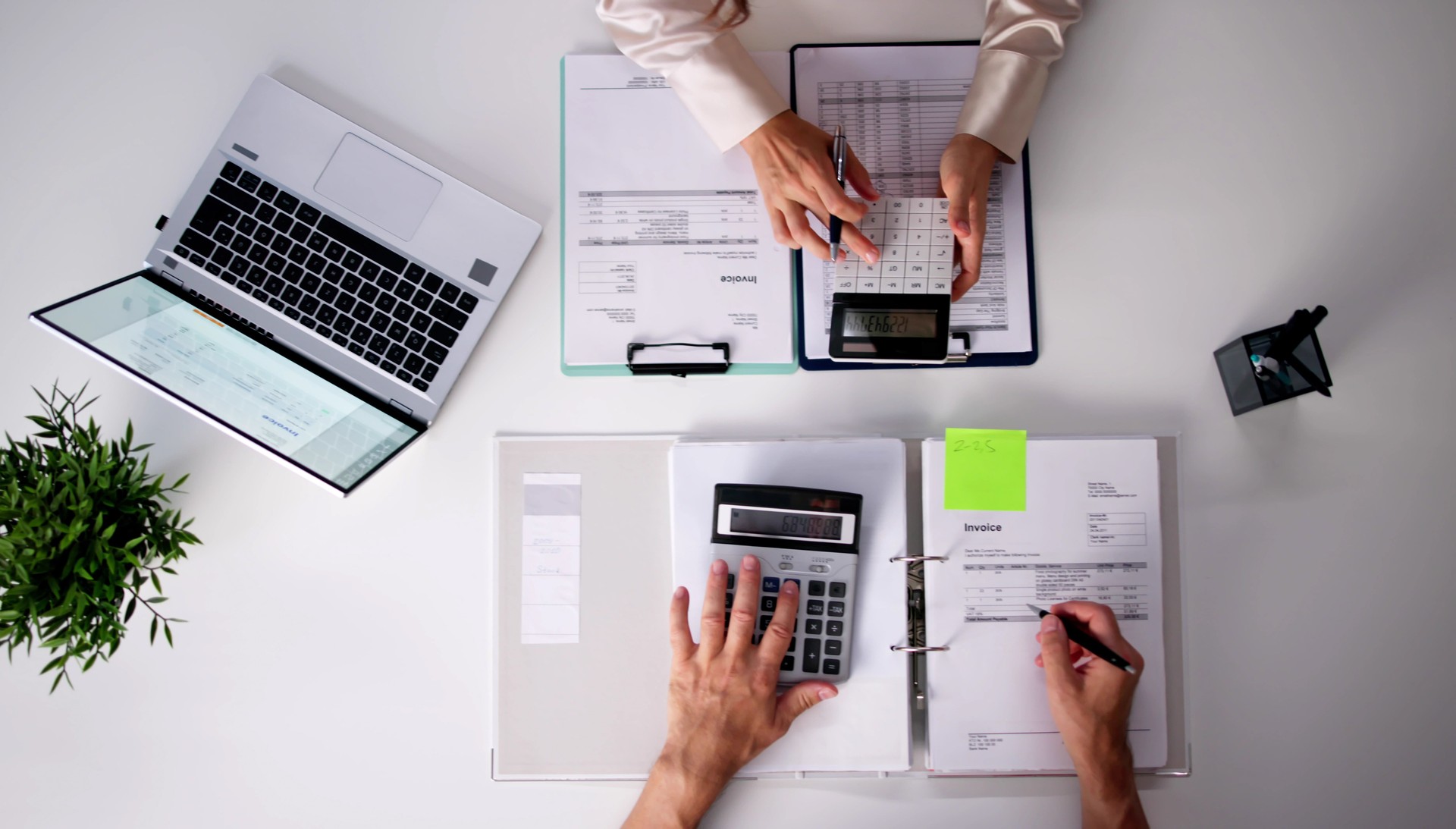 Professional Business Accountant Doing Financial Advisory